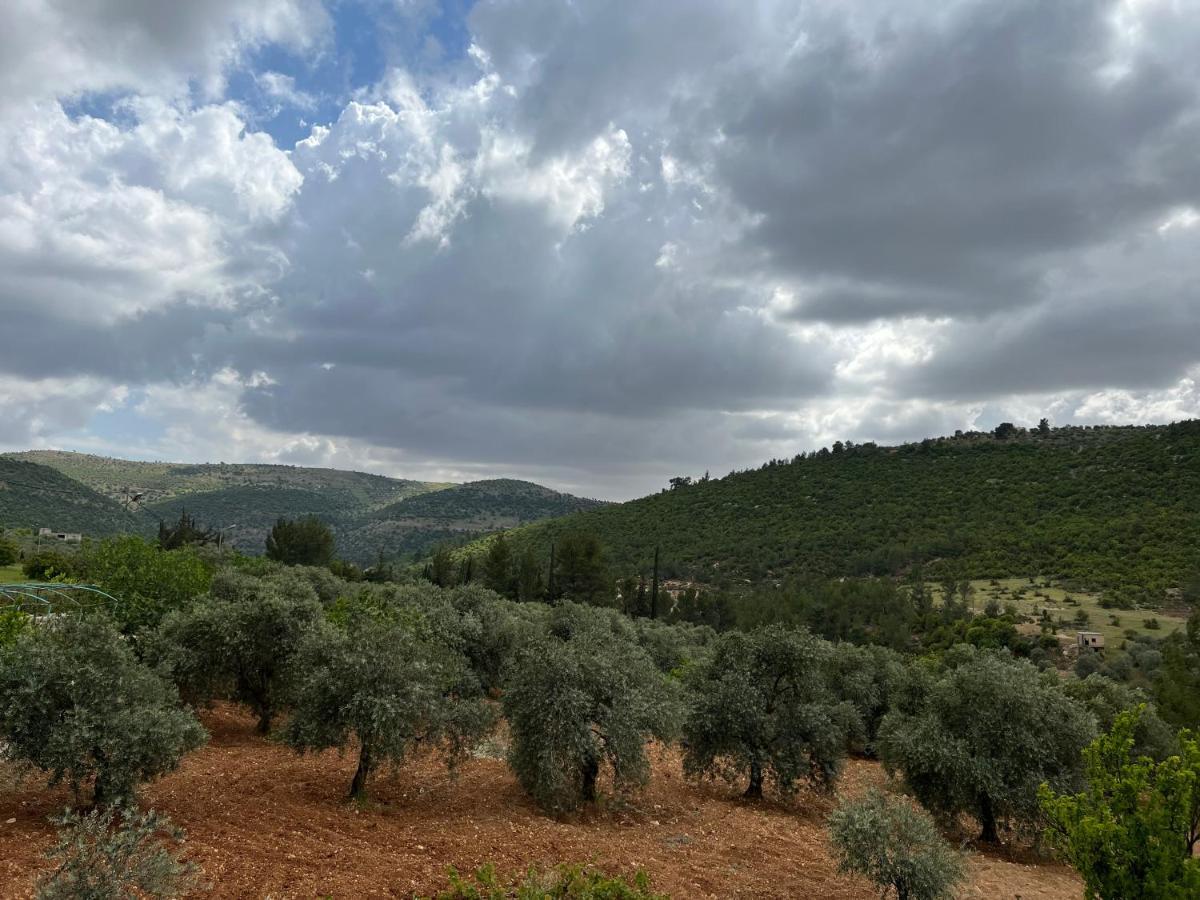 Gasthaus Oak Farm مزرعة الملّول ‘Ajlūn Exterior foto